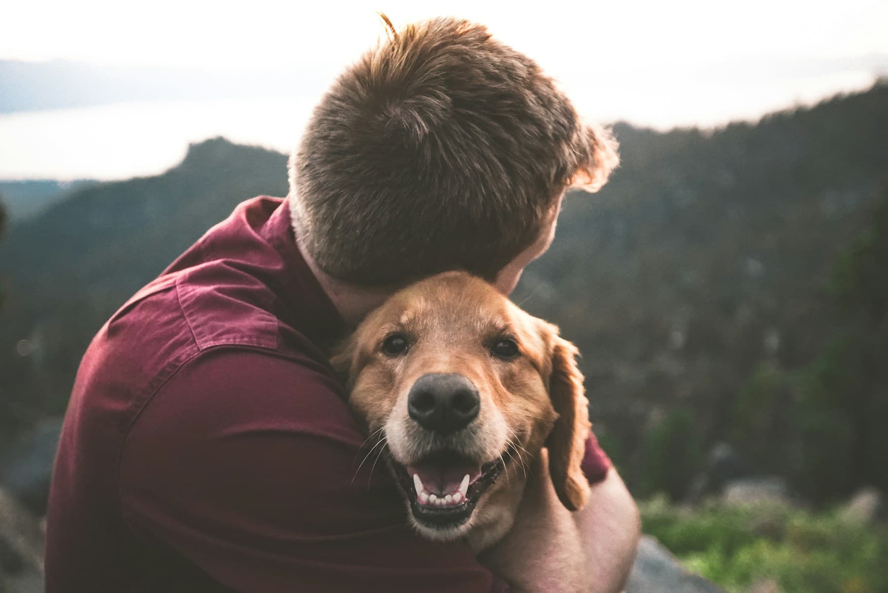 An owner shares a quiet moment with their dog