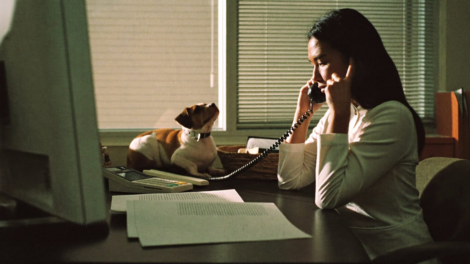 A woman on the phone at a desk covered in paper quotes, a small dog asleep beside her