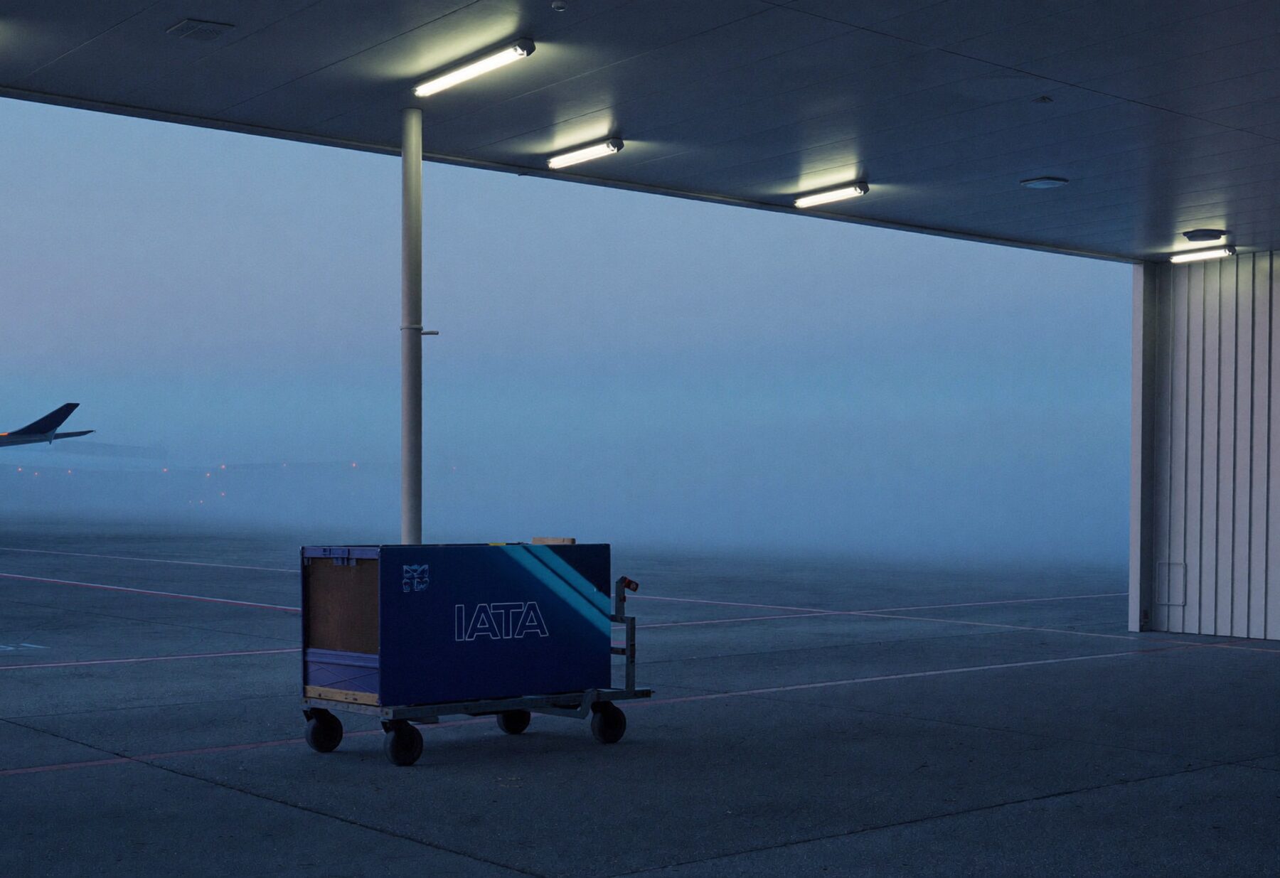 A single pet travel crate on a trolley at an airport cargo apron at dawn