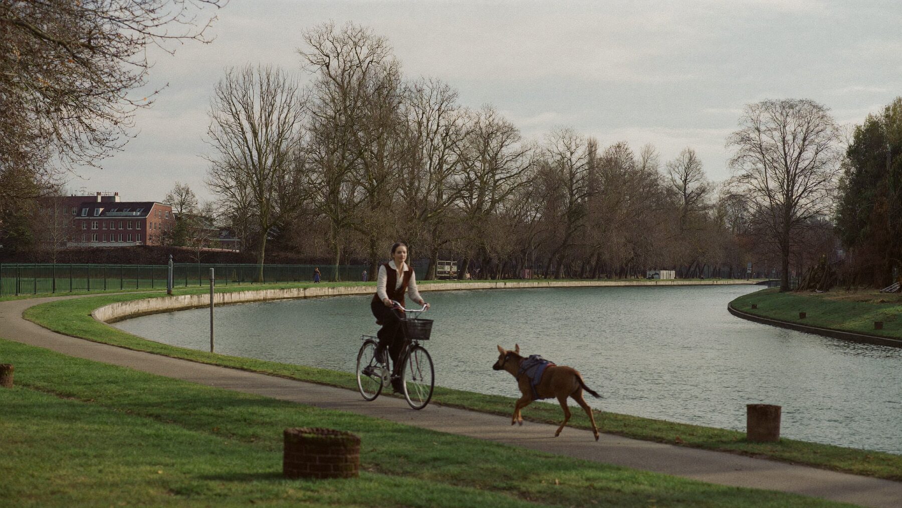 A woman cycling beside a running vizsla on a Berlin canal path
