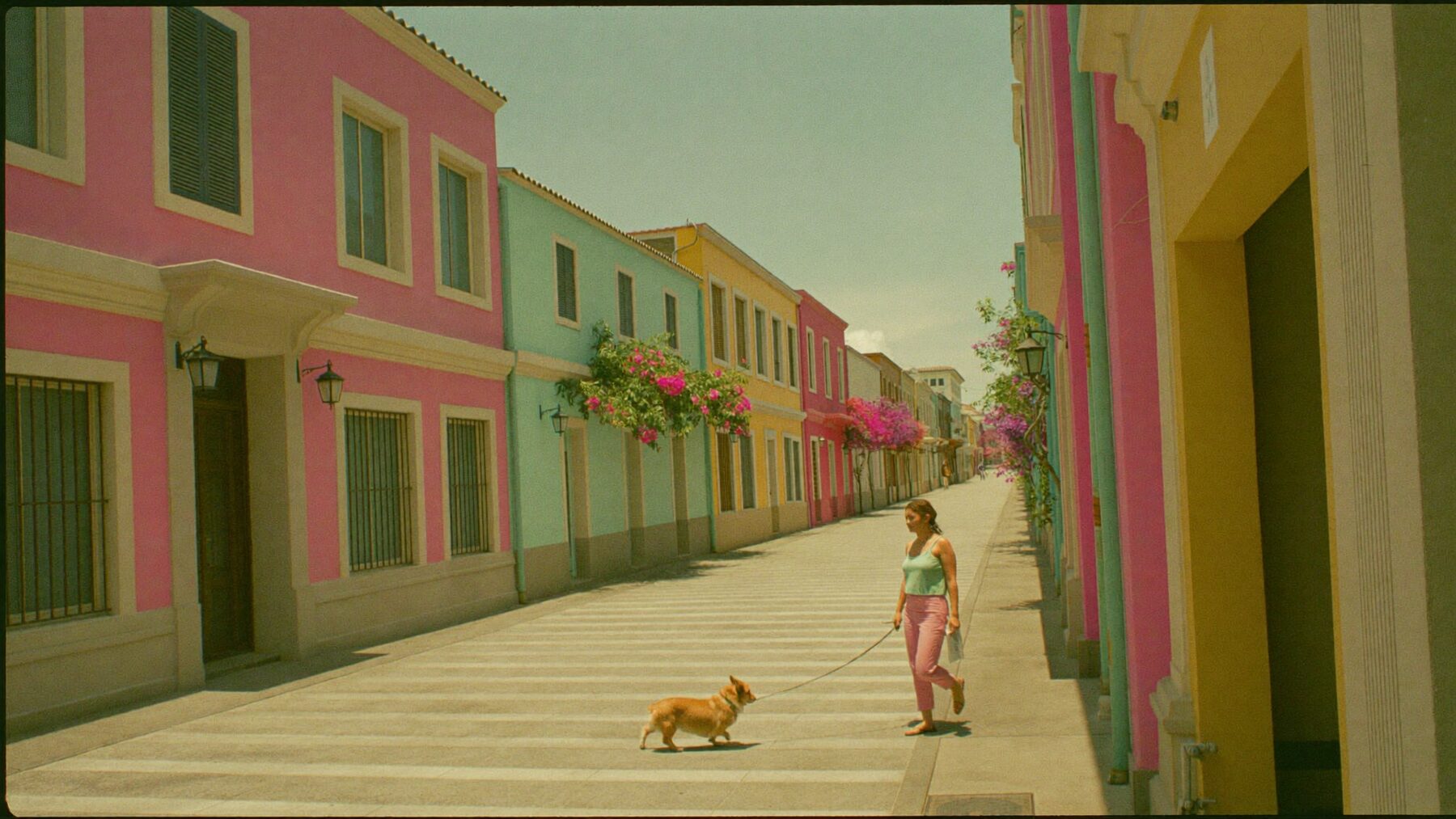 A corgi walking with its owner past pastel Singapore shophouses