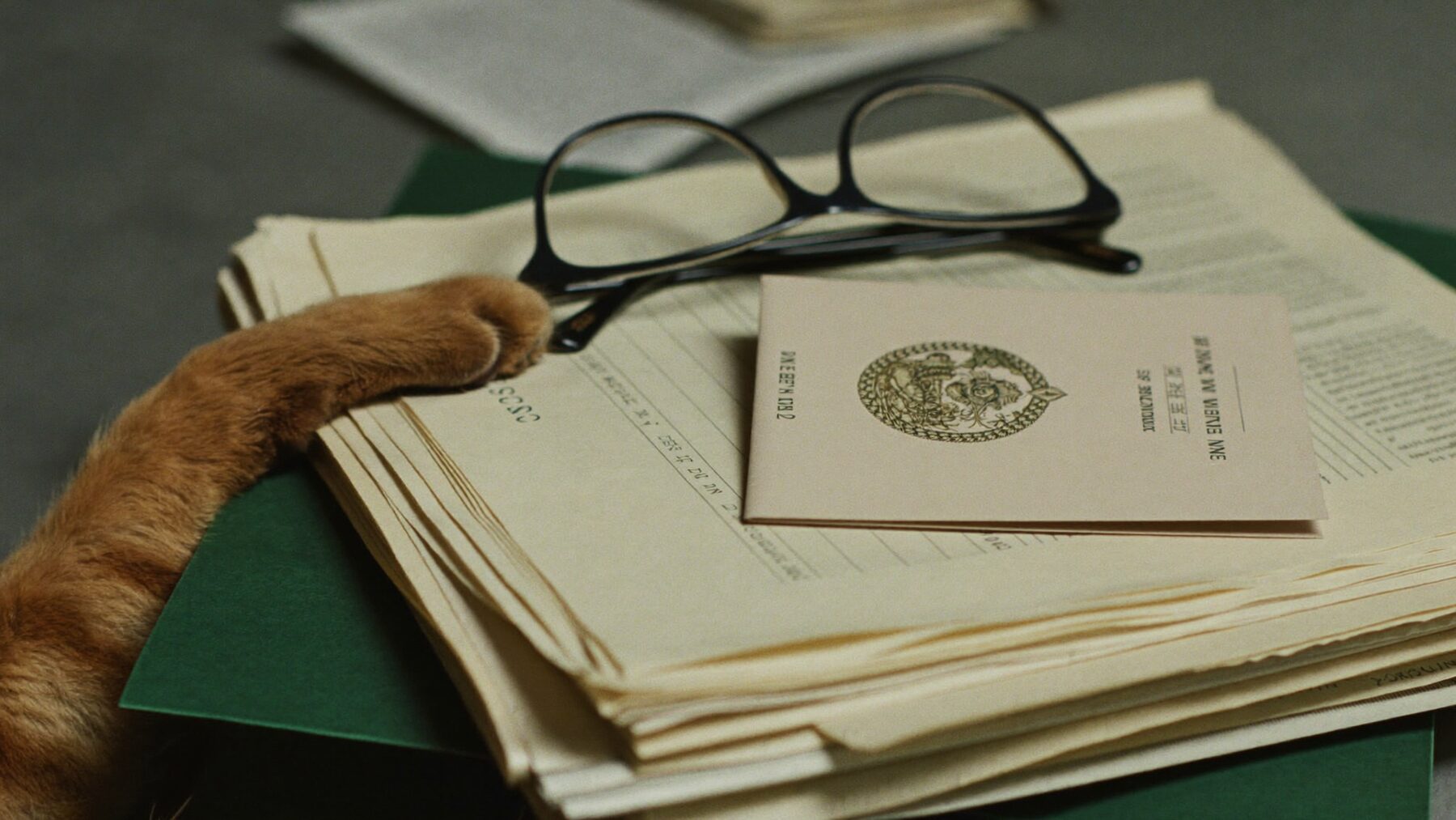 A stack of official documents with a passport, reading glasses and a cat’s paw resting on the pile