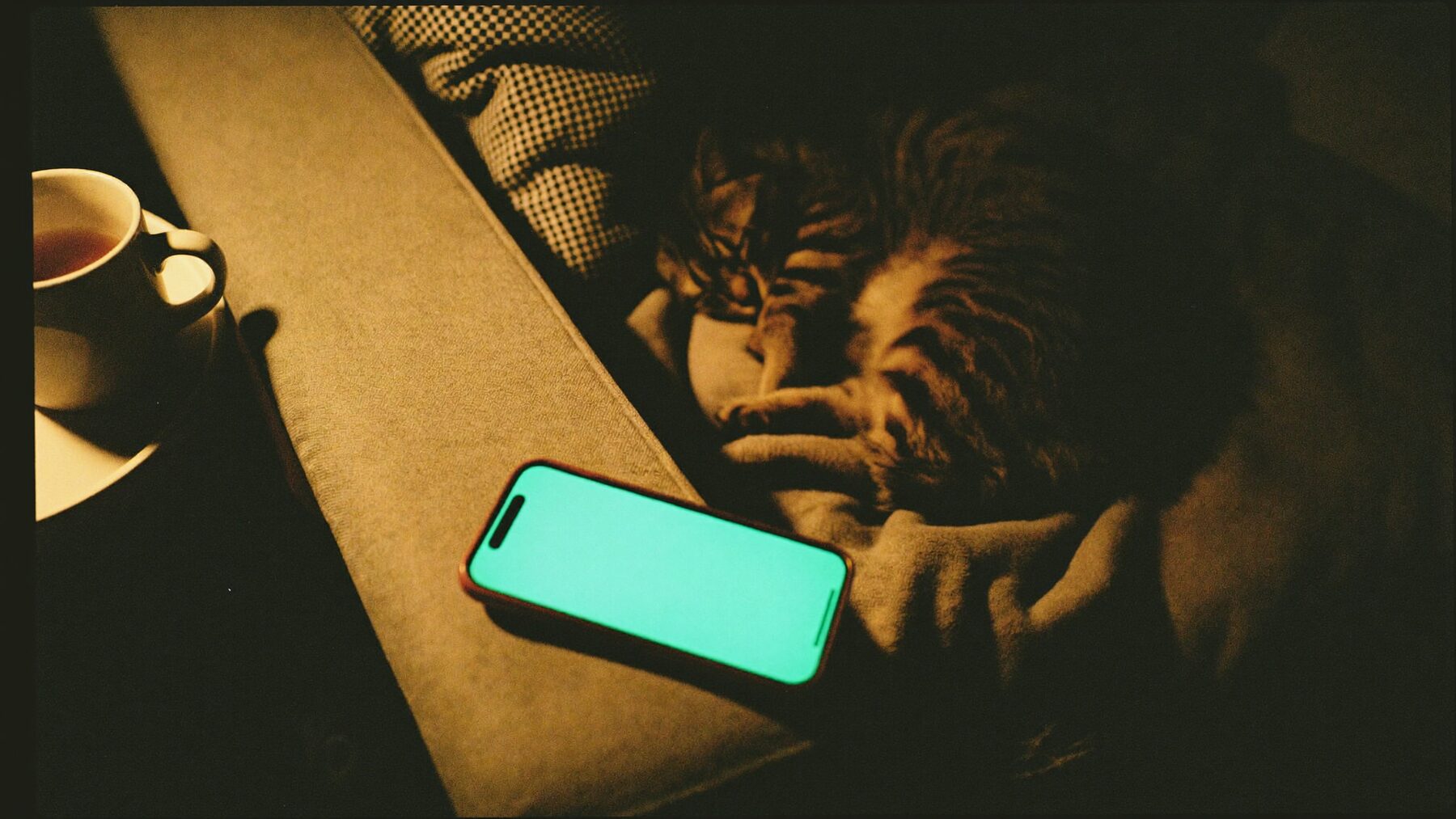 A phone on a sofa arm beside a sleeping tabby cat in evening lamplight